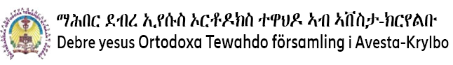Avesta-Krylbo Debre Eyessus